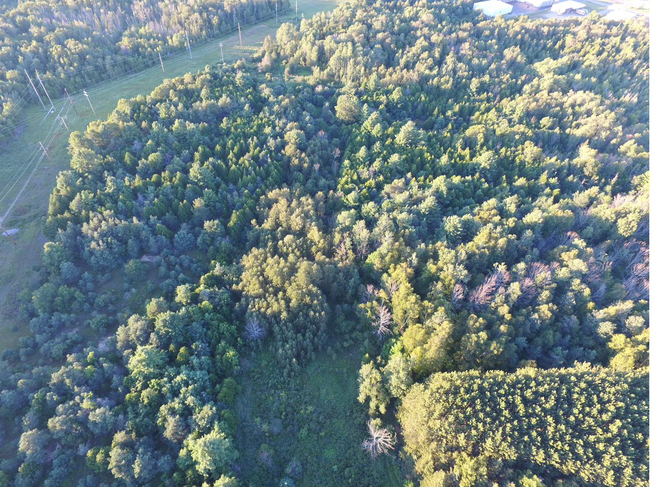 Subject parcel aerial 3