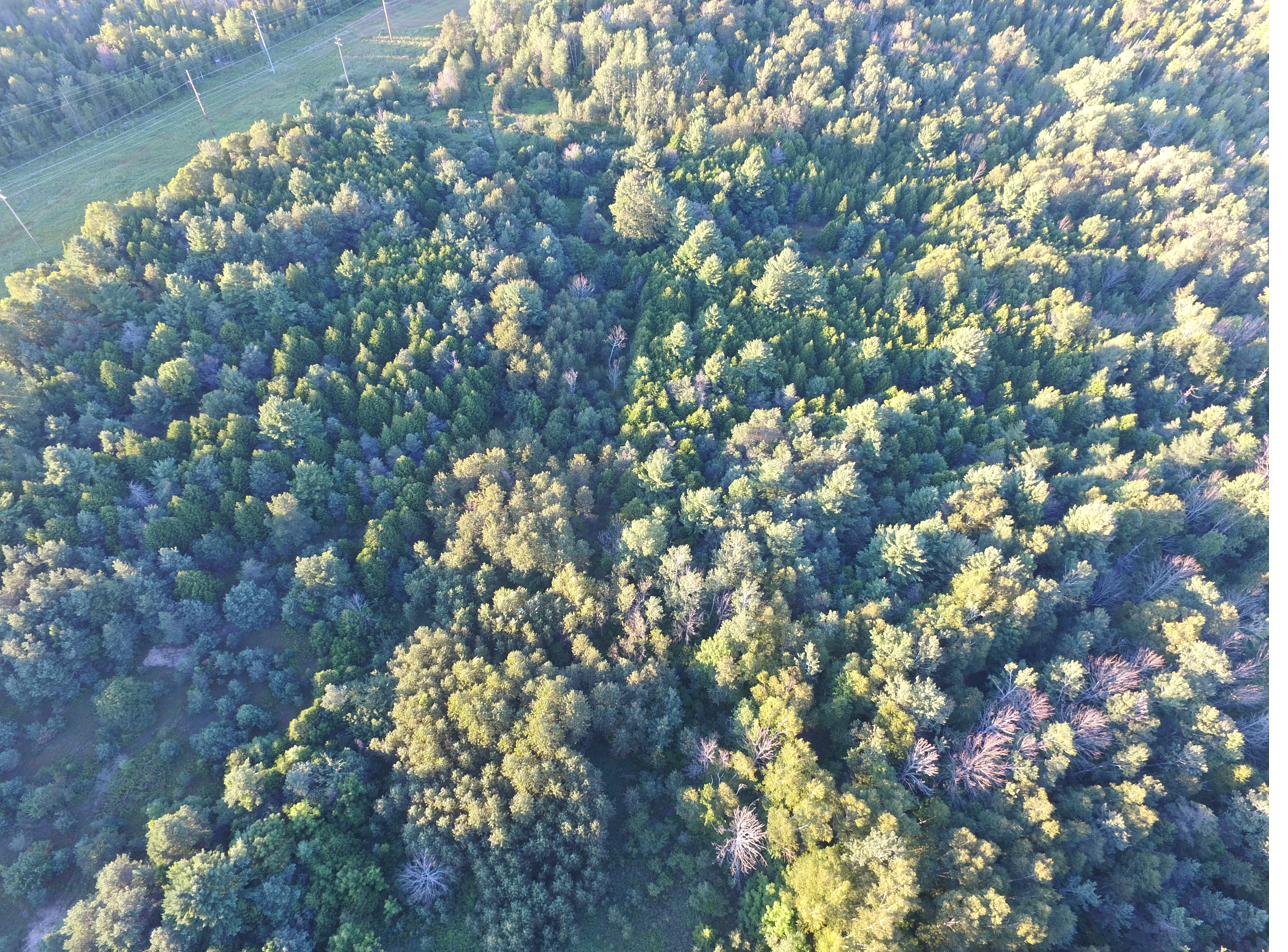 Subject parcel aerial 4