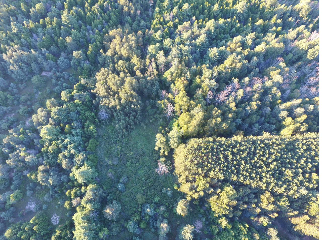 Subject parcel aerial 7